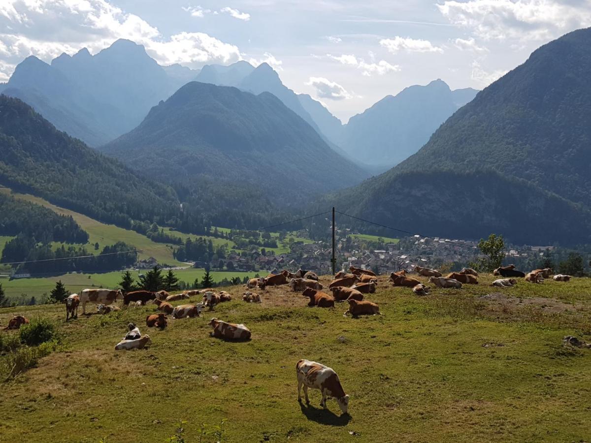 Zajcek Apartma Mojstrana Kültér fotó