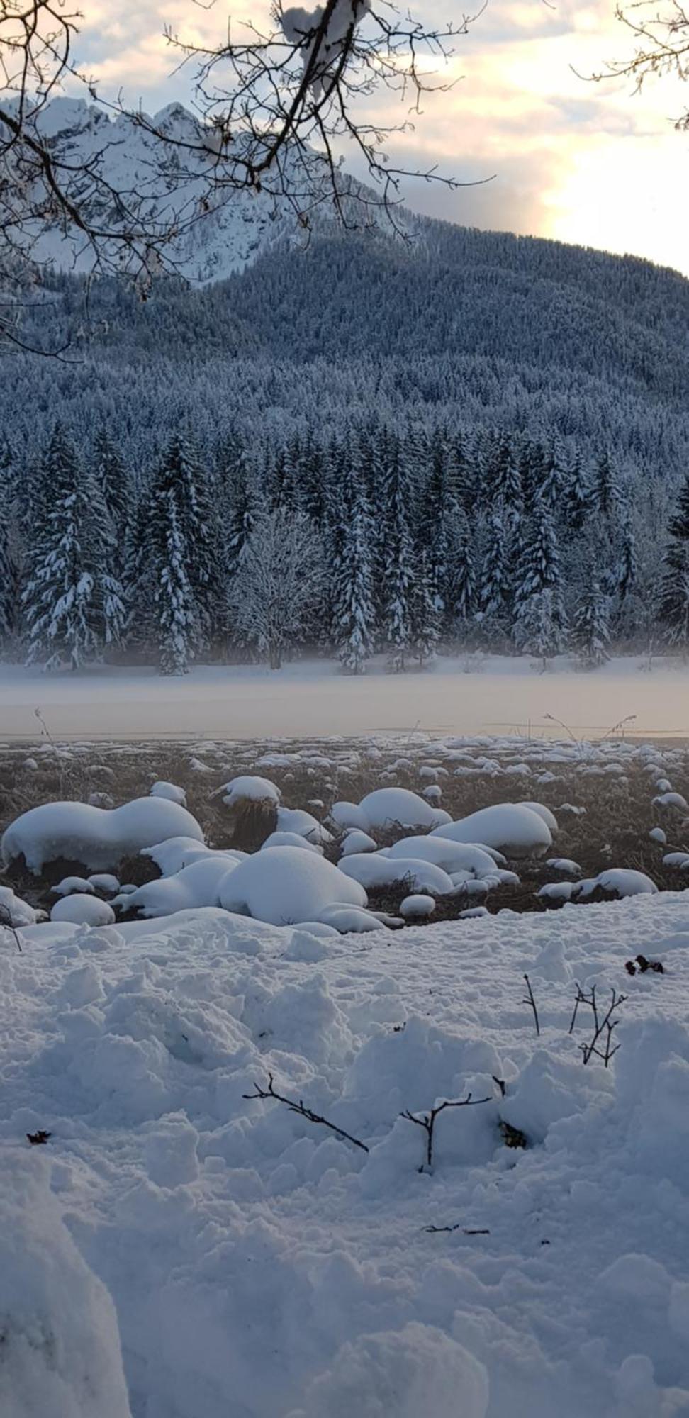 Zajcek Apartma Mojstrana Kültér fotó