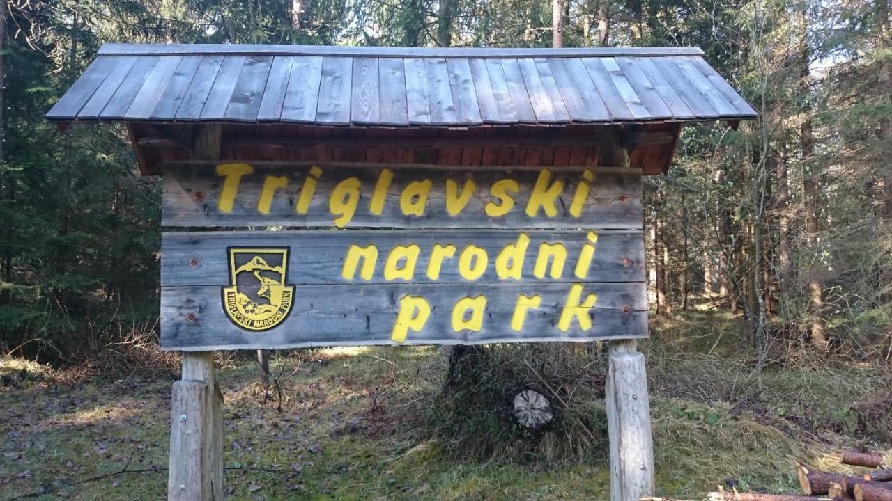 Zajcek Apartma Mojstrana Kültér fotó