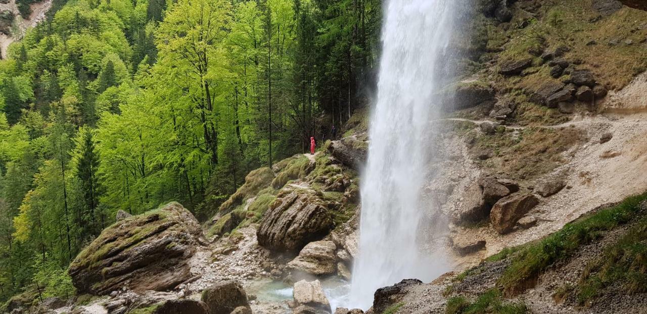Zajcek Apartma Mojstrana Kültér fotó