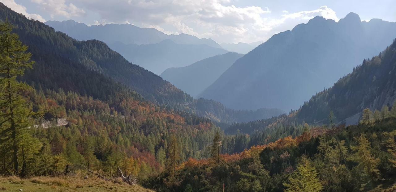 Zajcek Apartma Mojstrana Kültér fotó
