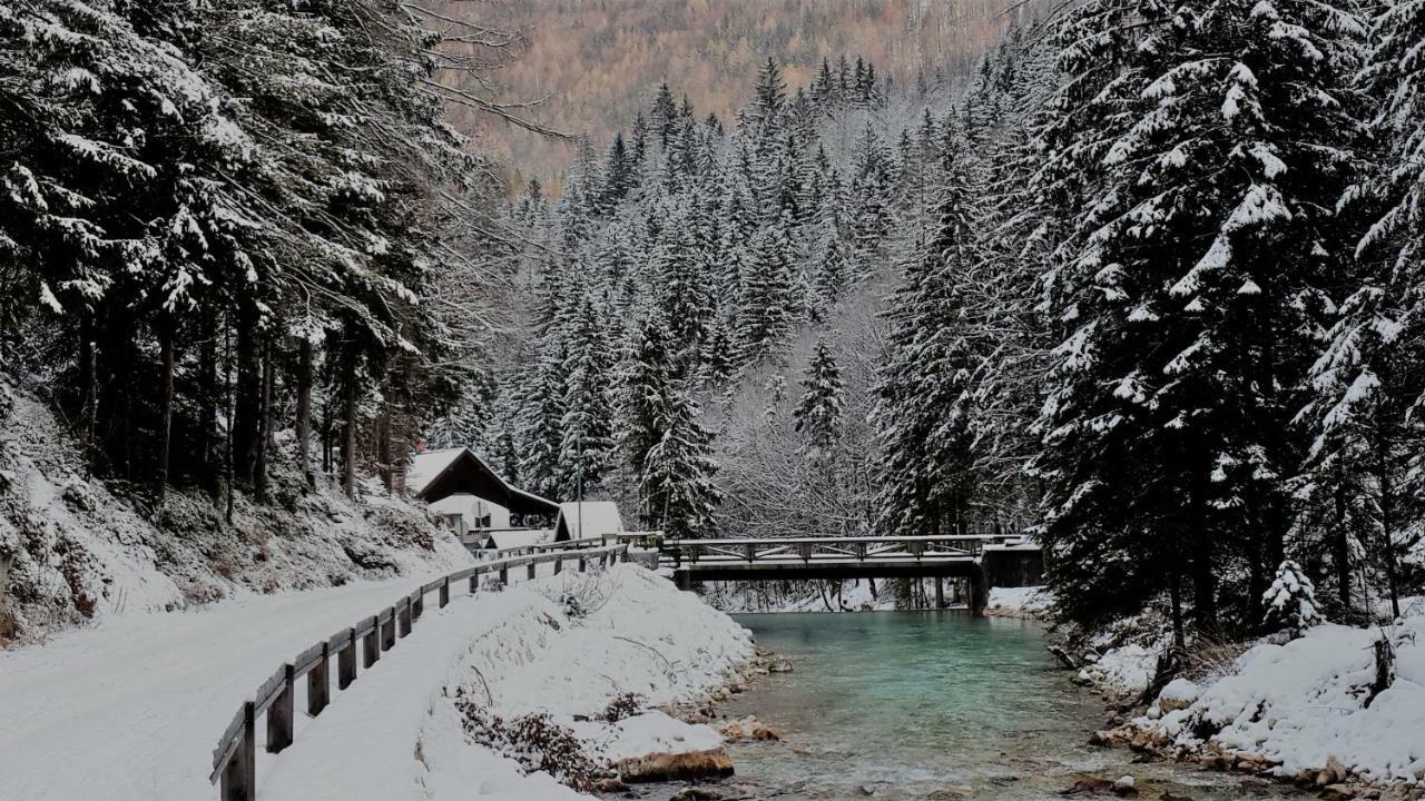 Zajcek Apartma Mojstrana Kültér fotó