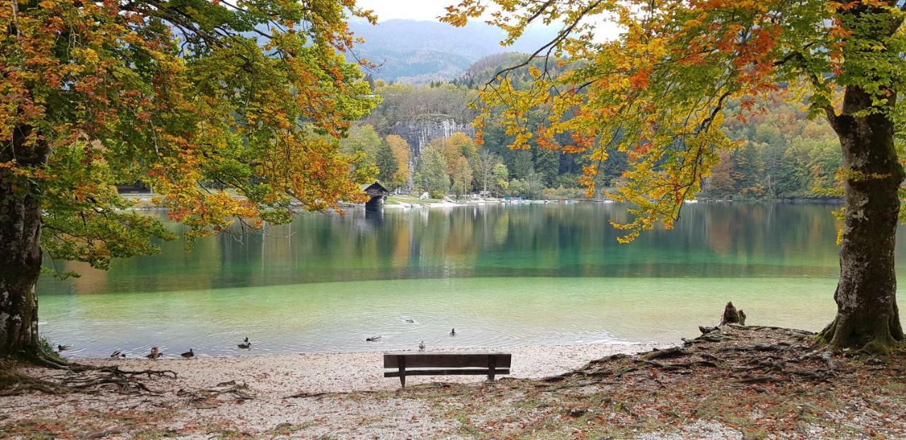 Zajcek Apartma Mojstrana Kültér fotó
