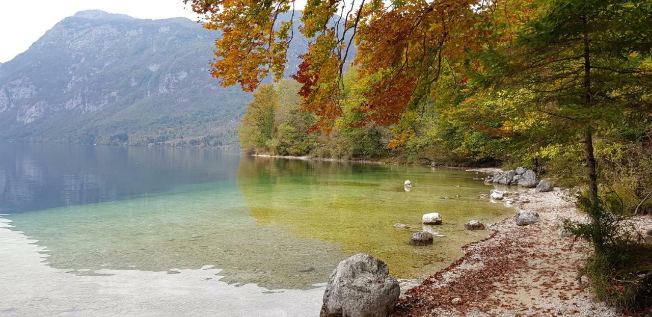 Zajcek Apartma Mojstrana Kültér fotó