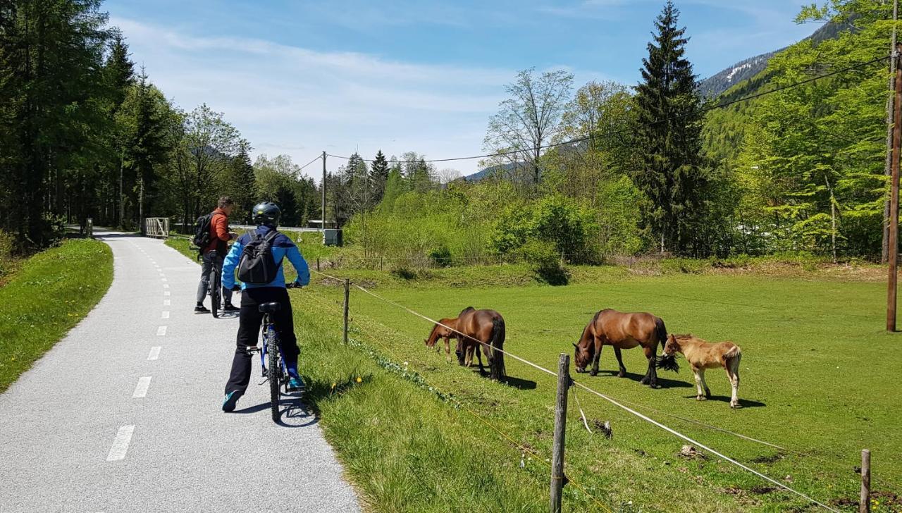 Zajcek Apartma Mojstrana Kültér fotó